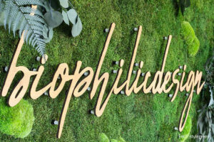 Mehr über den Artikel erfahren Biophilic Design im THIIIRD PLACE